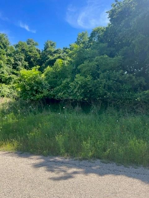 View 366 Riverside DR in Tahitian Village, 366 Riverside DR - property photo 1 - Luxury lot in Tahitian Village,, Bastrop, TX