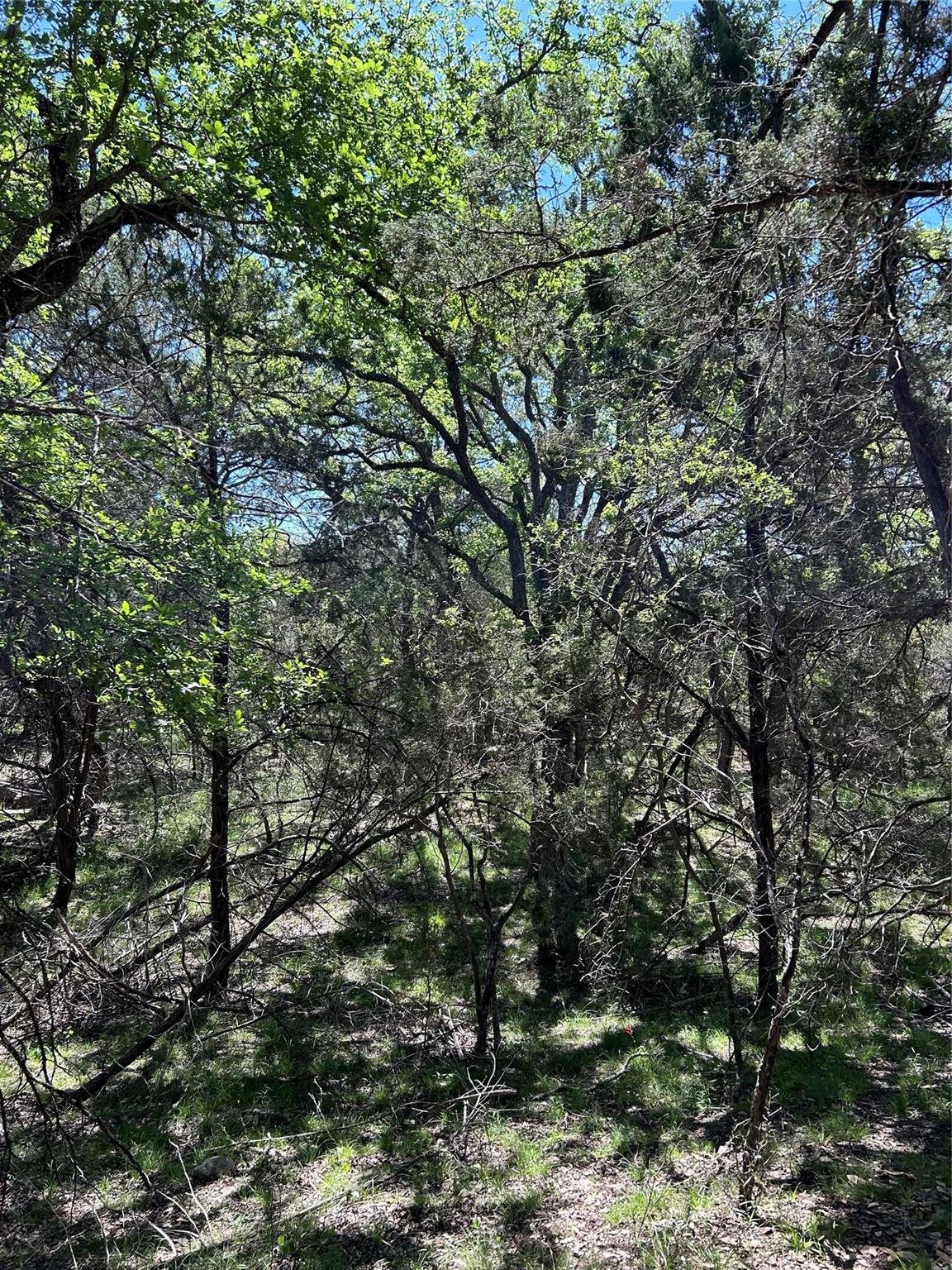 Kitchen at 37 Heathrow Ln - Woodcreek Sec 12, Wimberley, TX