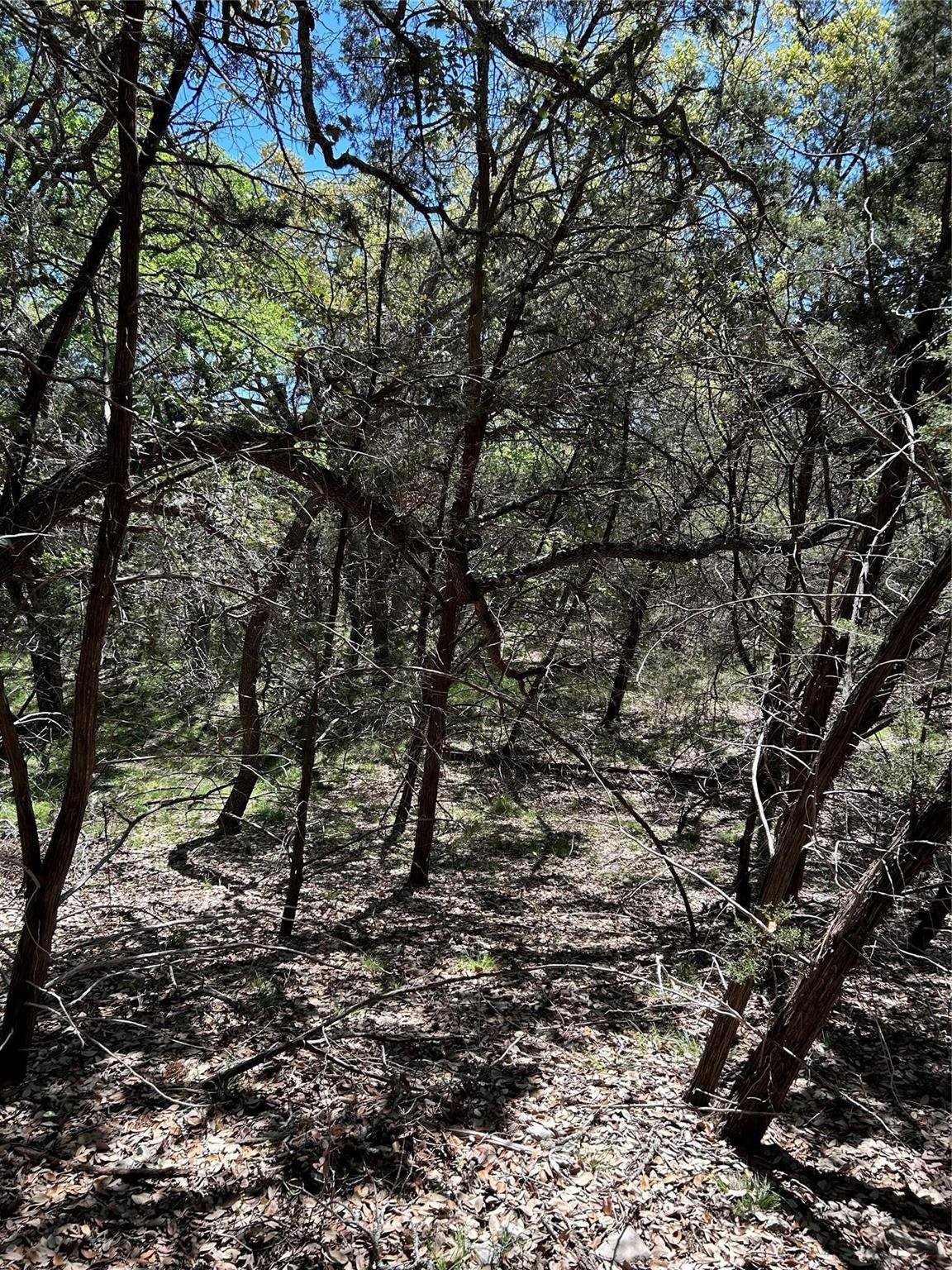 Primary bedroom at 37 Heathrow Ln - Woodcreek Sec 12, Wimberley, TX