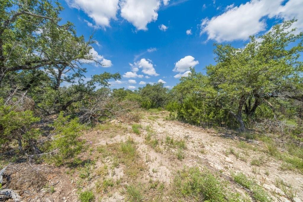 Primary bedroom at 3700 FM 2325 Unit #Tract 2 - Wimberley, TX