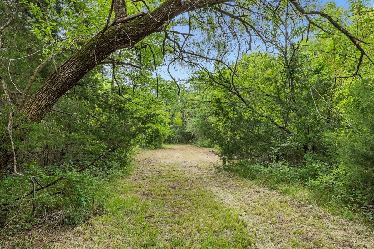View 3797 County Road 328 in N/A 3797 County Road 328 - front exterior - Luxury lot in N/A, Caldwell, TX