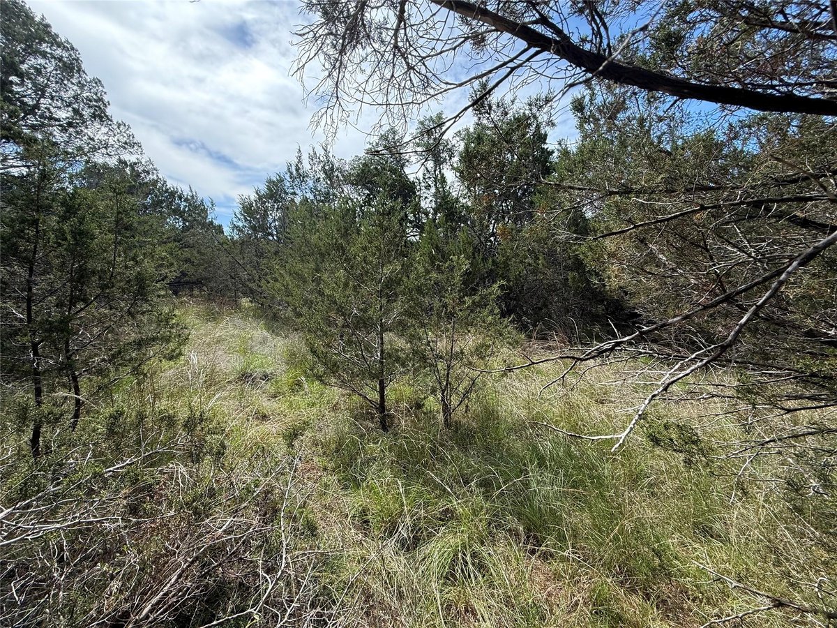 View 38 Heathrow Ln in Woodcreek Sec 12 38 Heathrow Ln - front exterior - Luxury lot in Woodcreek Sec 12, Wimberley, TX