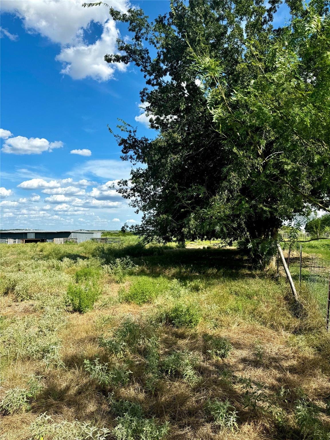 View 386 3G Rd in 3-G Ranch Addition 386 3G Rd - front exterior - Luxury lot in 3-G Ranch Addition, Kyle, TX