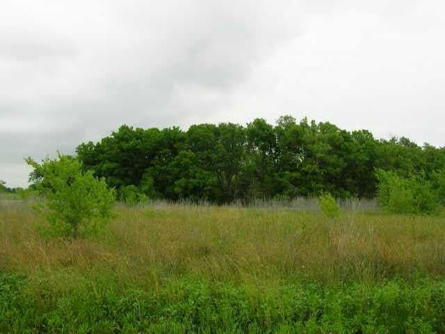 View 389 County Road 422 in Taylor 389 County Road 422, photo 1, Taylor, Taylor, TX