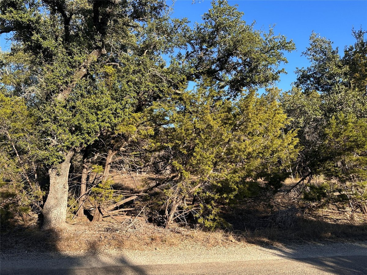 Primary bedroom at 39 Persimmon Dr - Woodcreek Sec 8, Wimberley, TX