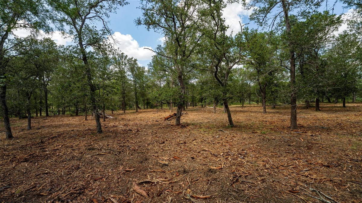 View 3980 (Tract 5) Fm 3158 in N/A 3980 (Tract 5) Fm 3158 - property photo 1 - Luxury lot in N/A, Dale, TX