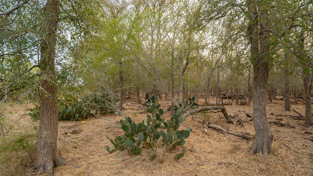 View 3980 (Tract 5) Fm 3158 3980 (Tract 5) Fm 3158 - front exterior - Luxury lot in Dale, TX