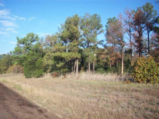 View 4.46 acres HWY 71 4.46 acres HWY 71 - property photo 1 - Luxury home in Bastrop, TX