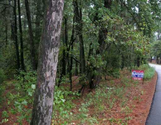 400 McAllister RD - front exterior - Luxury lot in Bastrop, TX