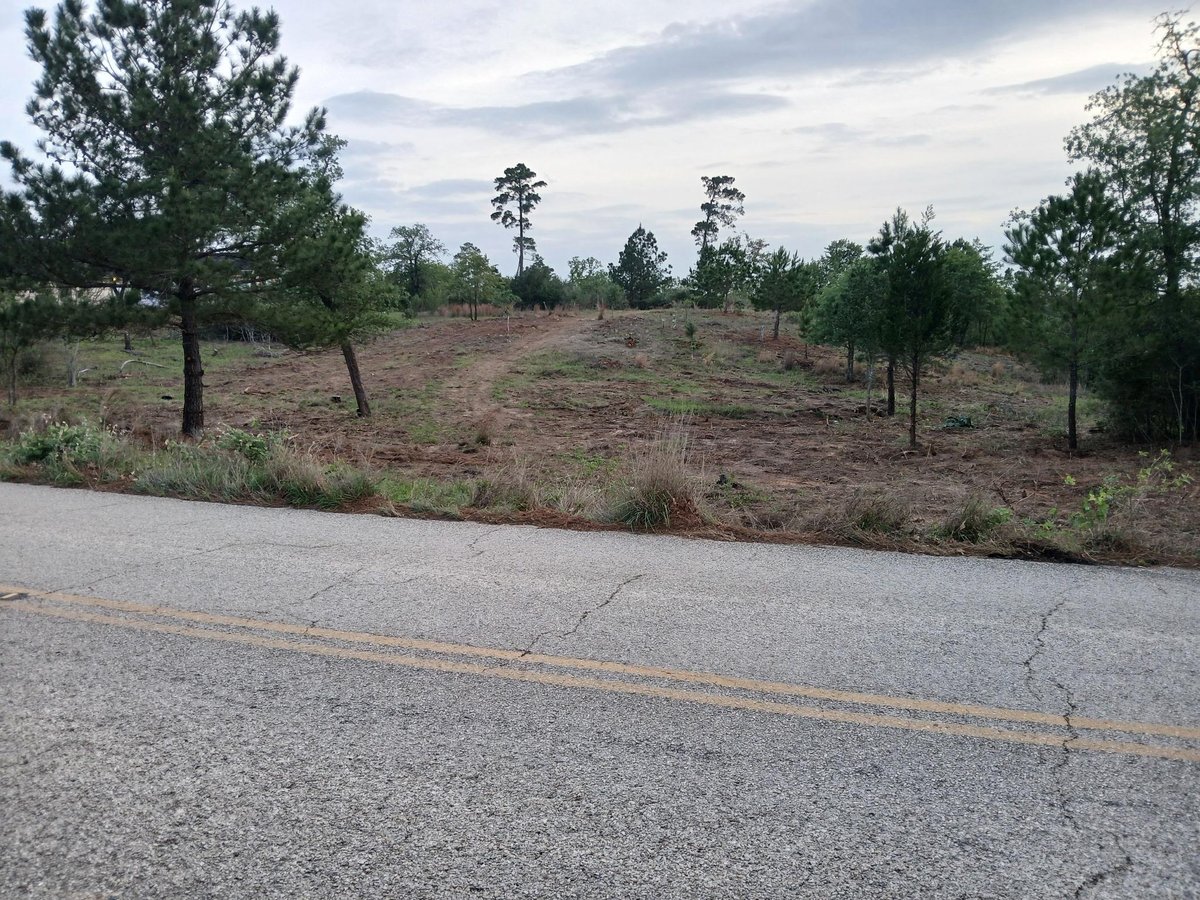 400 McAllister RD - front exterior - Luxury lot in Pine Forest Unit 7 Ph Iii, Bastrop, TX