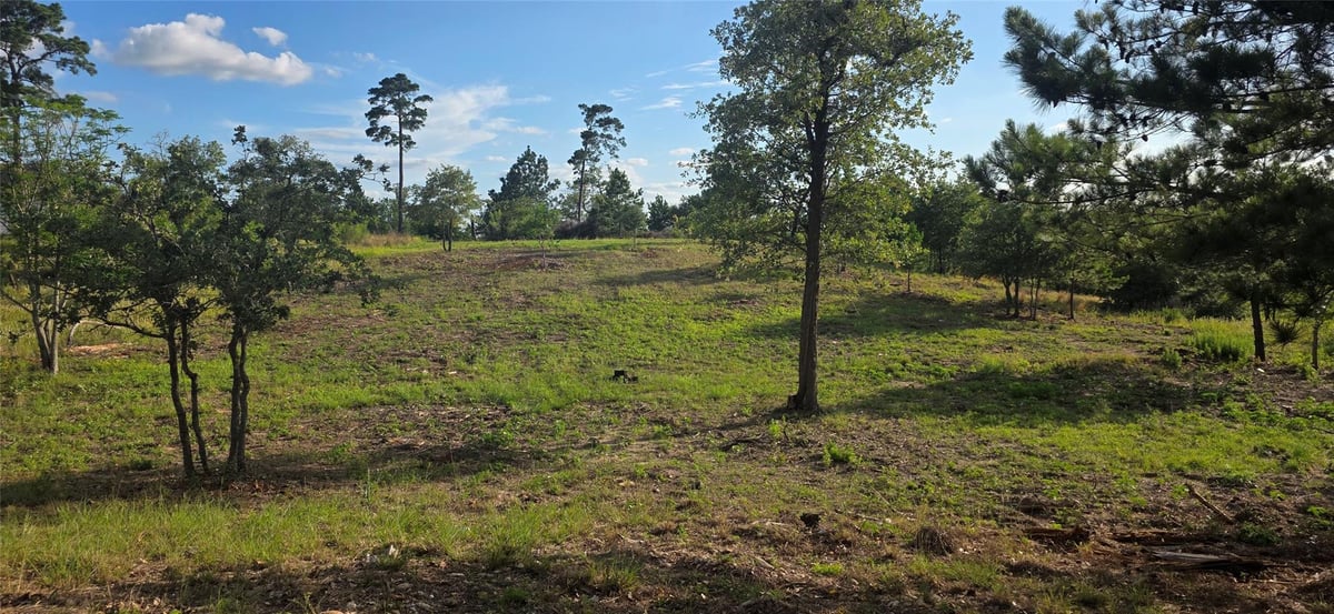 View 400 McAllister RD in Pine Forest Unit 7 Ph Iii 400 McAllister RD - front exterior - Luxury lot in Pine Forest Unit 7 Ph Iii, Bastrop, TX