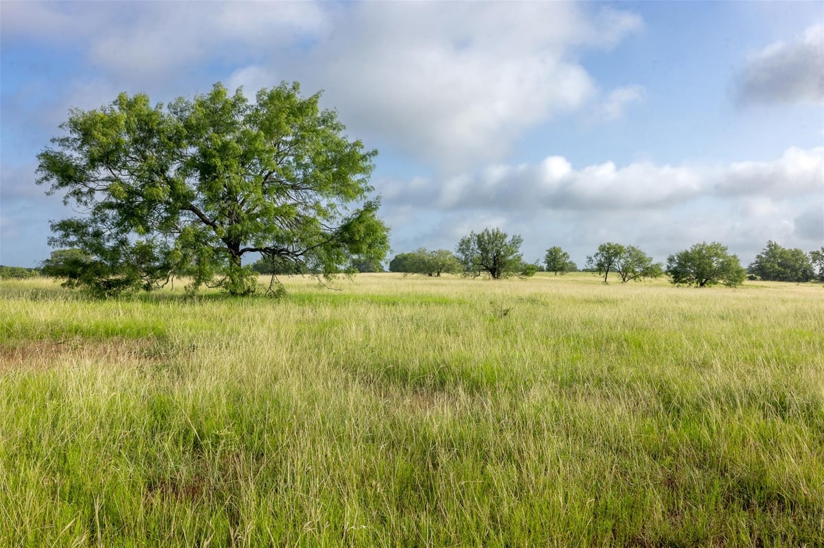 View 4046 State Highway 21 in GEORGE 4046 State Highway 21 - view with 4046 State Highway 21 in Caldwell - Luxury home in GEORGE, Caldwell, TX