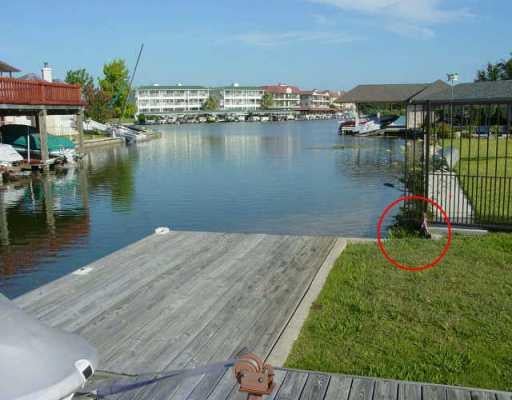 View 405 Lake Point DR 405 Lake Point DR - front exterior - Luxury lot in Horseshoe Bay, TX