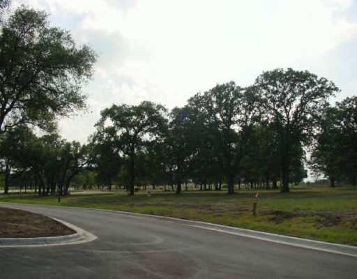 View 409 Goodnight DR 409 Goodnight DR - front exterior - Luxury lot in Georgetown, TX