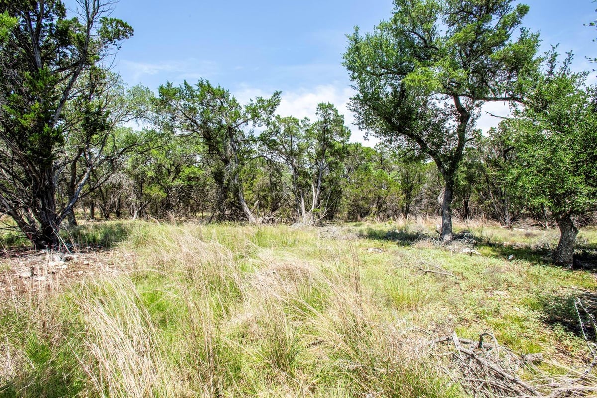 Primary bedroom at 41 Persimmon Dr - Woodcreek Sec 8, Wimberley, TX