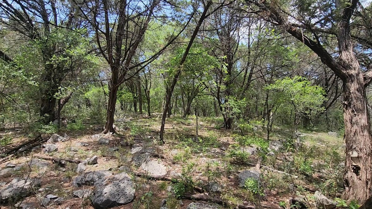 View 410 Owl Hollow RD in Rocky Ranch Acres Sec 1 410 Owl Hollow RD - front exterior - Luxury lot in Rocky Ranch Acres Sec 1, San Marcos, TX