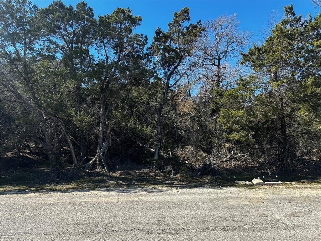 View 4108 Cooper Ln in Highland Lake Estates Sec 03 4108 Cooper Ln - front exterior - Luxury lot in Highland Lake Estates Sec 03, Lago Vista, TX