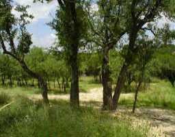 View 420 Luna VIS in Hills Of Lakeway Phs 10 420 Luna VIS - property photo 1 - Luxury lot in Hills Of Lakeway Phs 10, Austin, TX