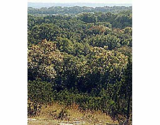 View 421 Hudson LN 421 Hudson LN - front exterior - Luxury lot in Dripping Springs, TX