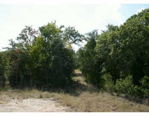 View 4236 Bee Creek RD 4236 Bee Creek RD - front exterior - Luxury lot in Spicewood, TX