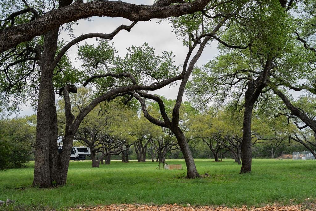 View 426 Mill RUN in n/a 426 Mill RUN - front exterior - Luxury lot in n/a, New Braunfels, TX