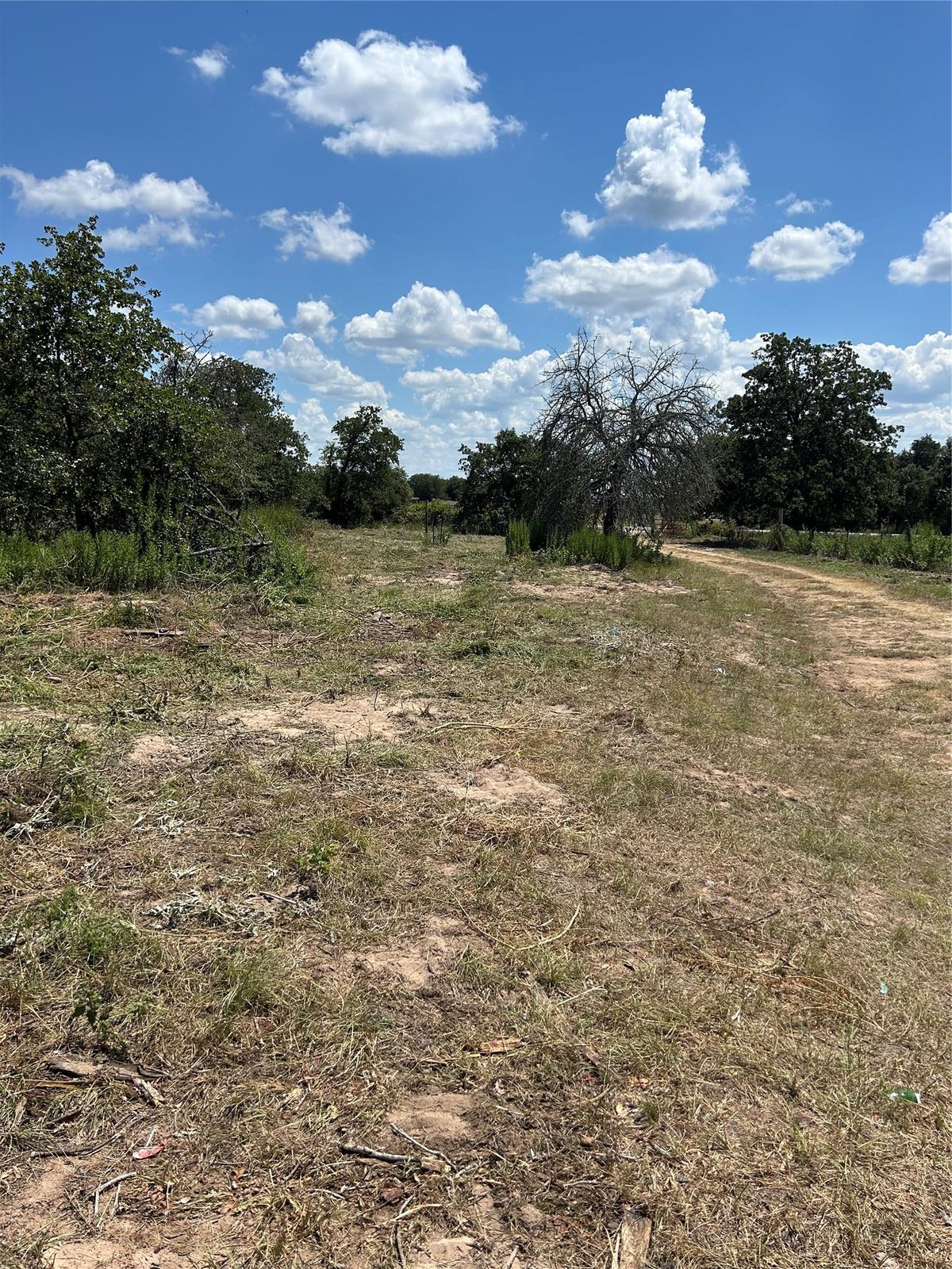 View 426 Shiloh RD in Rousseau, Mozea 426 Shiloh RD - view with 426 Shiloh Rd in Bastrop - Luxury home in Rousseau, Mozea, Bastrop, TX
