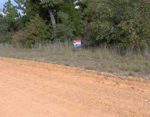 View 430 pine valley CV 430 pine valley CV - front exterior - Luxury lot in Rosanky, TX