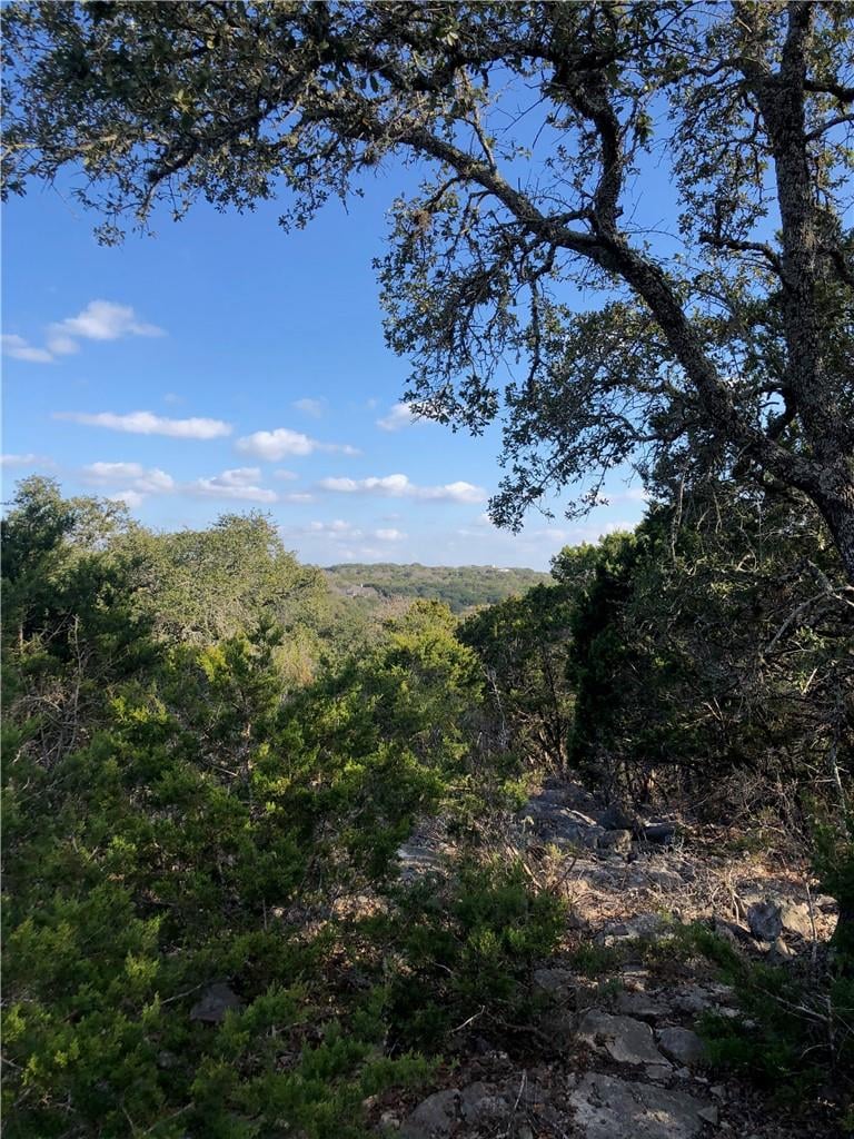 View 441 Cliffview CIR in Canyon Lake 441 Cliffview CIR - property photo 1 - Luxury lot in Canyon Lake, Canyon Lake, TX