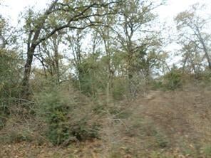 View 442 FM 112 442 FM 112 - front exterior - Luxury home in Thrall, TX