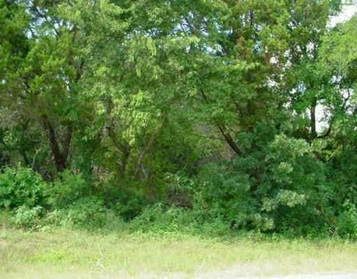 View 4450 1869 Fm 4450 1869 Fm - front exterior - Luxury home in Liberty Hill, TX