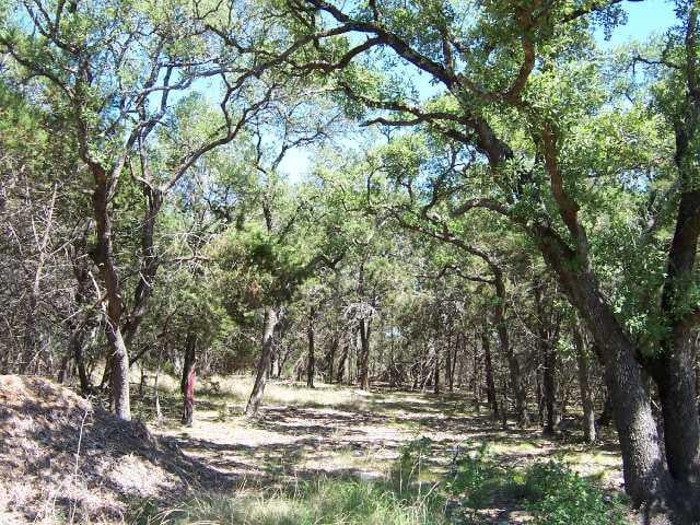 View 44B Sierra Loma 44B Sierra Loma - front exterior - Luxury lot in Wimberley, TX