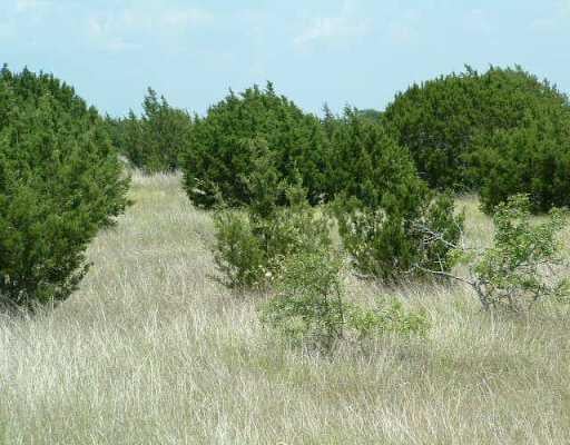 View 450 Cr 277 in Liberty Hill 450 Cr 277, photo 1, Liberty Hill, Liberty Hill, TX
