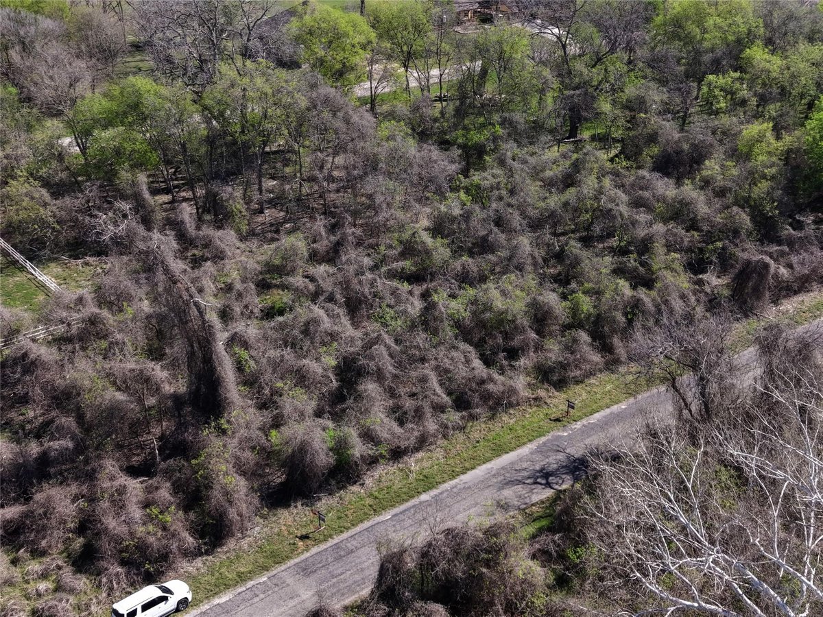 View 450 Riverside Dr in Tahitian Village 450 Riverside Dr - front exterior - Luxury lot in Tahitian Village, Bastrop, TX