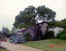 View 4506 Farbl. W in MARBRYS RIDGE SUBD 4506 Farbl. W - property photo 1 - Luxury home in MARBRYS RIDGE SUBD, Austin, TX