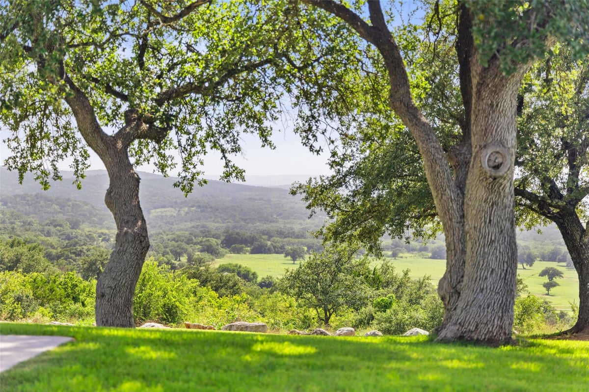 View 4529 Ranch Road 3347 in none 4529 Ranch Road 3347 - view with mature oak trees - Luxury home in none, Round Mountain, TX