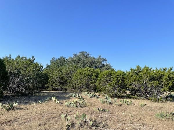 Primary bedroom at 4547 County Road 108 - None, Burnet, TX