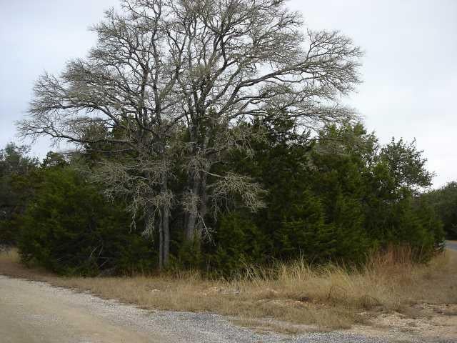 View 46 Persimmon 46 Persimmon - front exterior - Luxury lot in Wimberley, TX