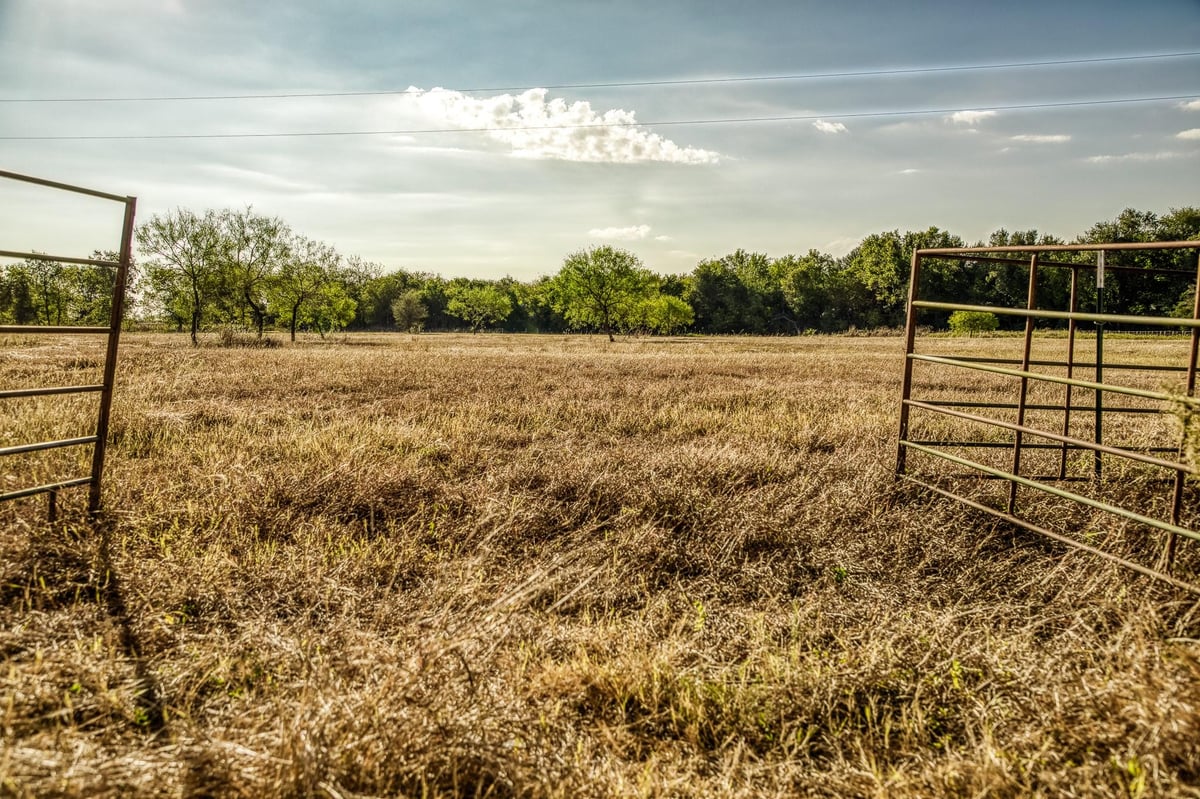 View 460 County Road 328 460 County Road 328 - front exterior - Luxury lot in Caldwell, TX