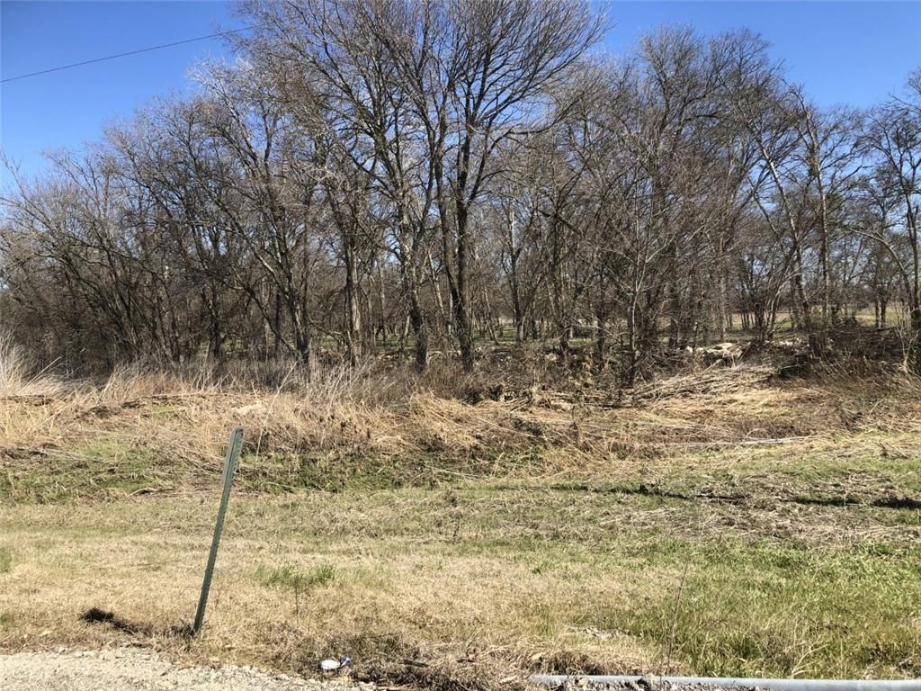 472 County Road 428 - front exterior - Luxury lot in Pecan Creek Estates, Taylor, TX