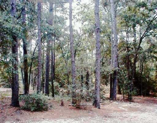 View 472 Pine Tree Loop 472 Pine Tree Loop - front exterior - Luxury lot in Bastrop, TX