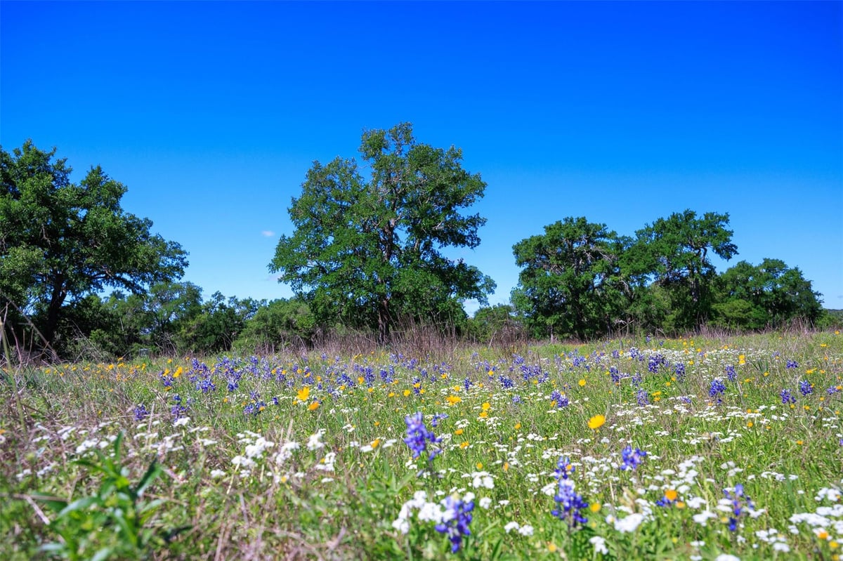 Primary bedroom at 480 Blue Creek Dr - Blue Creek Ranch, Dripping Springs, TX