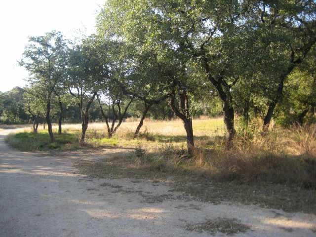 View 480 Indian WLS 480 Indian WLS - front exterior - Luxury lot in Bertram, TX