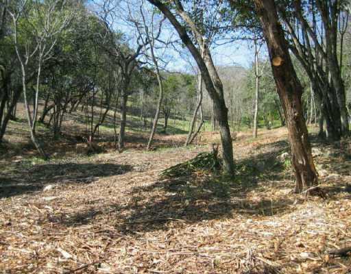 View 4800 Timberline in Groves of Rollingwood 4800 Timberline - front exterior - Luxury lot in Groves of Rollingwood, Austin, TX