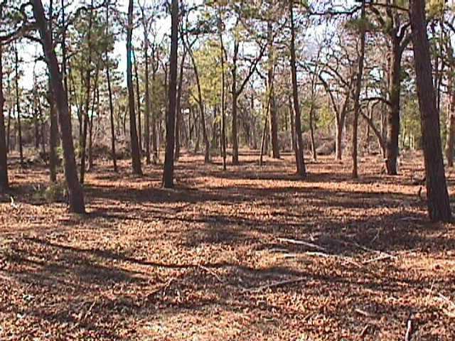 View 492 S Old Potato RD 492 S Old Potato RD - front exterior - Luxury home in Paige, TX