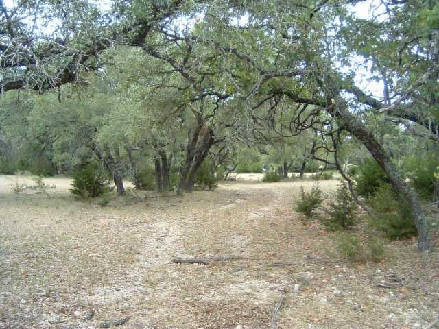 View 4921 Cr 252 4921 Cr 252 - front exterior - Luxury home in Burnet, TX