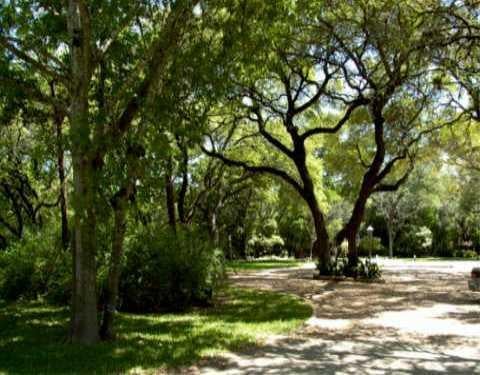 View 5 Reese DR 5 Reese DR - front exterior - Luxury lot in Sunset Valley, TX