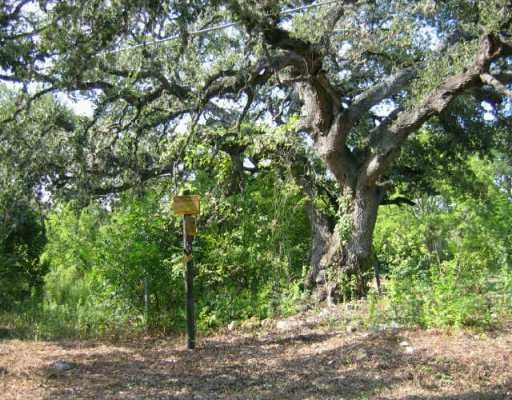 View 501 N Bluff DR 501 N Bluff DR - front exterior - Luxury lot in Austin, TX
