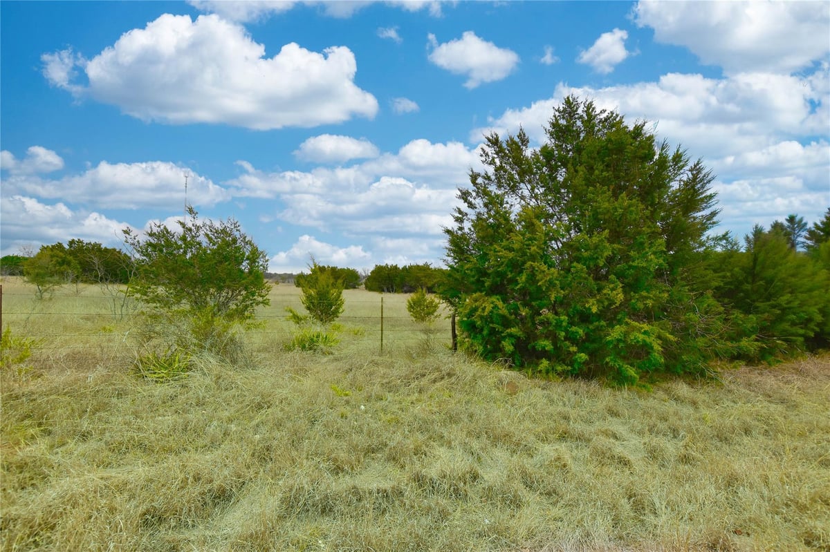 View 5025 County Road 200 Rd in Bear Creek Ranch Unit 03 5025 County Road 200 Rd - front exterior - Luxury home in Bear Creek Ranch Unit 03, Liberty Hill, TX