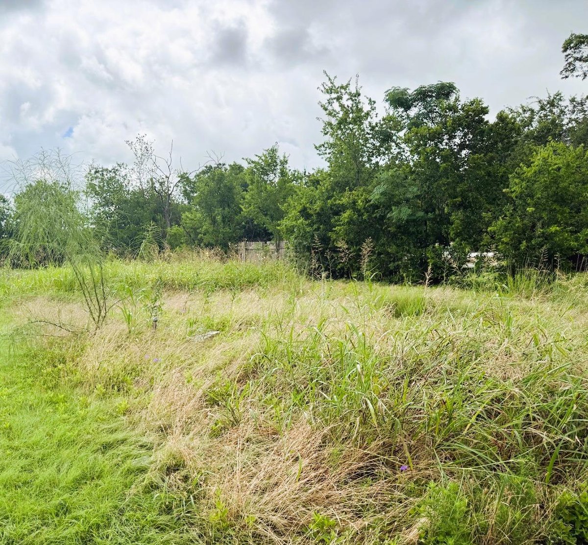 503 Maple ST - front exterior - Luxury lot in Doak Add, Taylor, TX