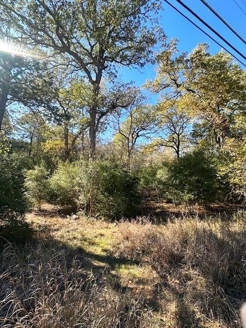 View 506 Tahitian DR in Tahitian Village, 506 Tahitian DR - property photo 1 - Luxury lot in Tahitian Village,, Bastrop, TX